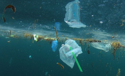 Powstaje katamaran zasilany plastikowymi odpadami