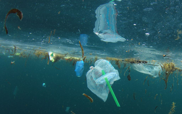 Powstaje katamaran zasilany plastikowymi odpadami