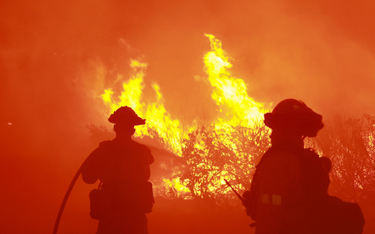W 2023 roku w USA zanotowano ponad 50 tysięcy przypadków gwałtownych pożarów.