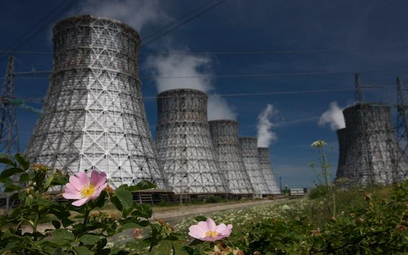 Ruszy hinduska elektrownia atomowa