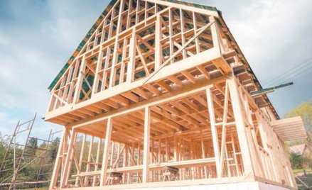 Ludzie zatęsknili za swobodą, której brakuje w małych, ciasnych mieszkaniach. Pandemia nakręciła pop