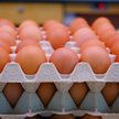 Lidl rezygnuje ze sprzedaży jajek “trójek”. To sukces koalicji Open Wing Alliance
