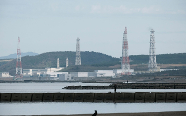 Energetyka atomowa wywołuje w Japonii ogromne obawy, ale rząd dojrzewa do zmiany kursu.