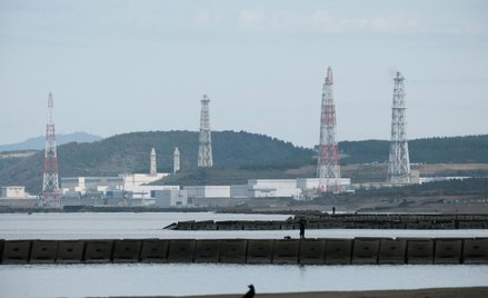 Energetyka atomowa wywołuje w Japonii ogromne obawy, ale rząd dojrzewa do zmiany kursu.