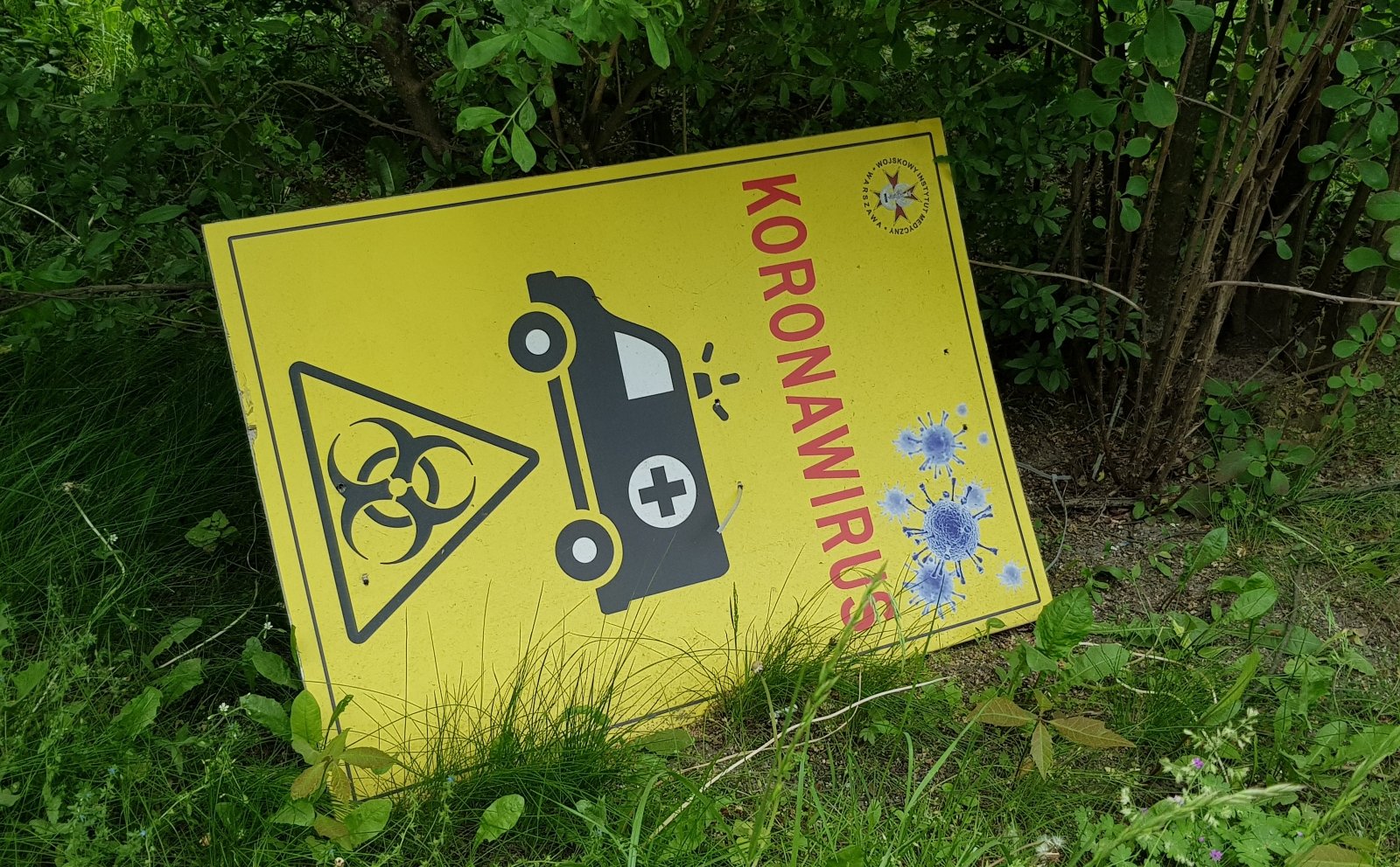 Jan Zielonka: Zapomniana wojna z Covid-19