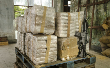 Polski kapitan oskarżony o przemyt 240 kg kokainy w Meksyku. RPO interweniuje