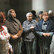 „Doktor Halina”