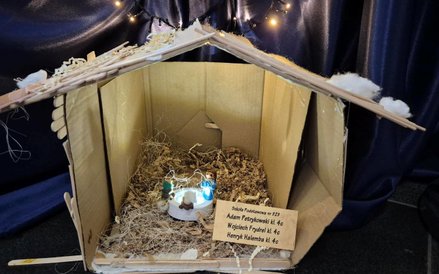 Praca Adama Petrykowskiego, Wojciecha Frydrela i Henryka Halemby ze Szkoły Podstawowej nr 323