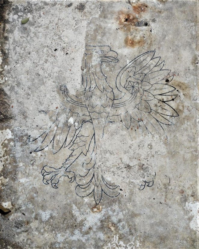 Orzeł z posadzki z wykopalisk przy ul. Twardej 8/12