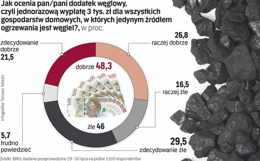 Wyniki sondażu ws. dodatku węglowego