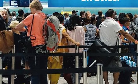 W ciągu roku polska społeczność w Wielkiej Brytanii zmniejszyła się o 1–1,5 procent. Na zdjęciu: kon