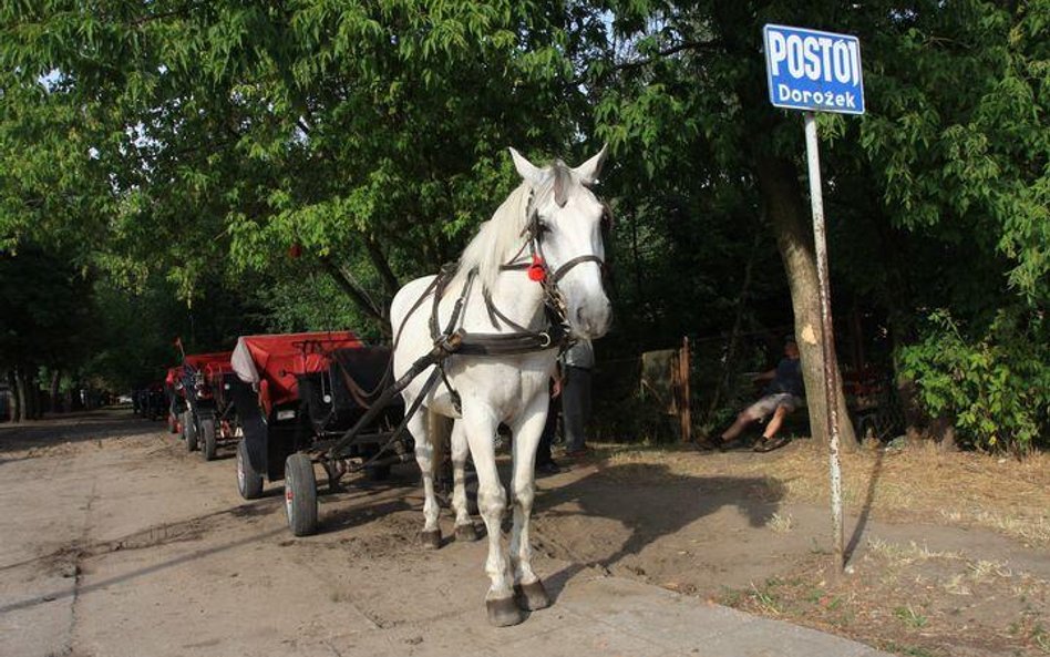 Postój dorożek w Ciechocinku