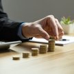 TFI nabrały pewności siebie po udanych zbiorach w styczniu