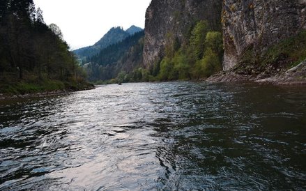 Wiry w głównym nurcie Dunajca. Kapok nie wystarczy