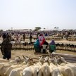 Reedukacja dzieci w Somalii: Weźmiesz ślub, będziesz wolny