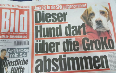 Niemcy: Pies zarejestrowany jako członek partii SPD