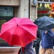 Ostatnie dni złotej polskiej jesieni. Chłód wtargnie nagle i zostanie na długo