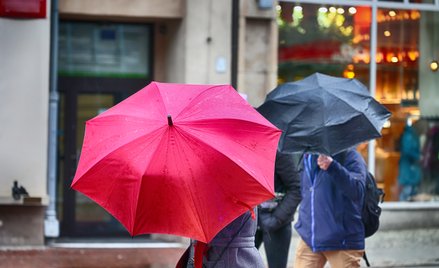 Ostatnie dni złotej polskiej jesieni. Chłód wtargnie nagle i zostanie na długo