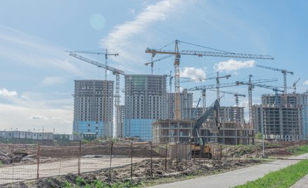 Na razie rynek pozostaje stabilny, choć popyt po bardzo mocnym początku roku nieco wyhamował. Fot. s