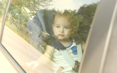Dziecko lub zwierzę zamknięte w samochodzie w trakcie upałów - co można zrobić, czy wolno zbić szybę