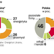 Chociaż gaz odgrywa większą rolę w gospodarce Ukrainy niż Polski i jego zużycie jest znacznie większ