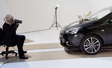 „Kocia" kampania dla Opla Corsy. Choupette ma 4 lata i jest własnością Karla Lagerfelda