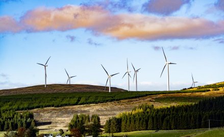 The Guardian: Ogromny wpływ ekologicznych firm