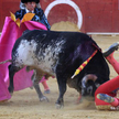 Matador zginął podczas korridy