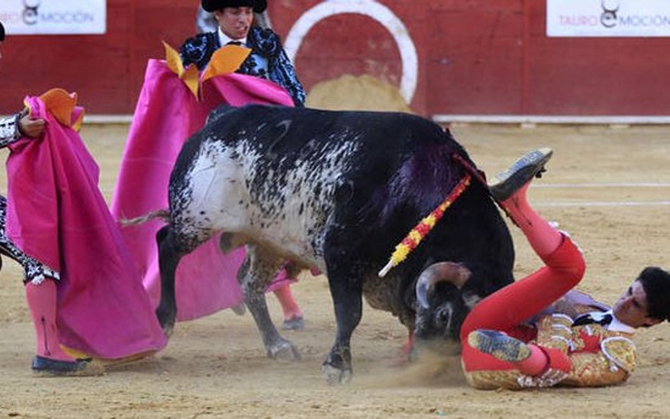 Matador zginął podczas korridy