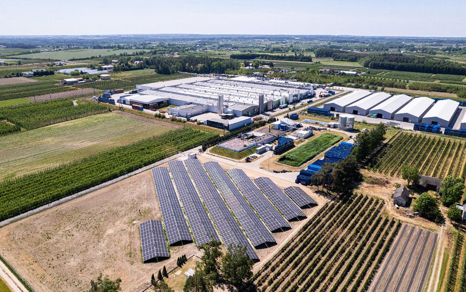 PepsiCo planuje inwestować we własne źródła odnawialnej energii, opierając się na farmach fotowoltai