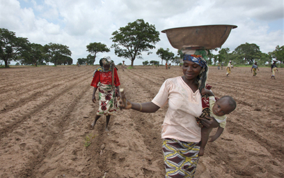 Afrykańscy rolnicy pomagają walczyć z wylesianiem