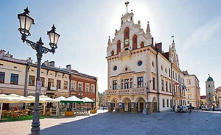 Utworzenie strefy płatnego parkowania kosztowało 11 mln zł
