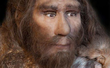 Inne oblicze neandertalczyków: Mieli dłonie zegarmistrzów