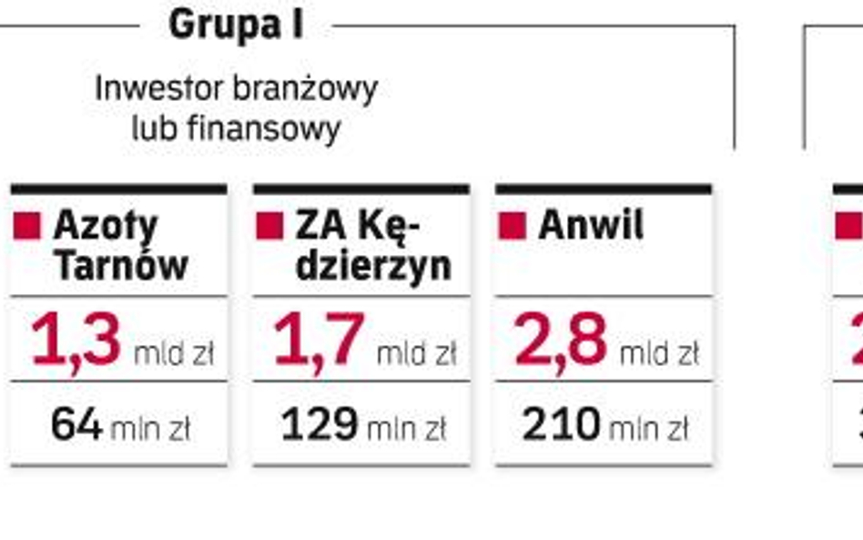 Skarb poszuka dwóch inwestorów dla chemii