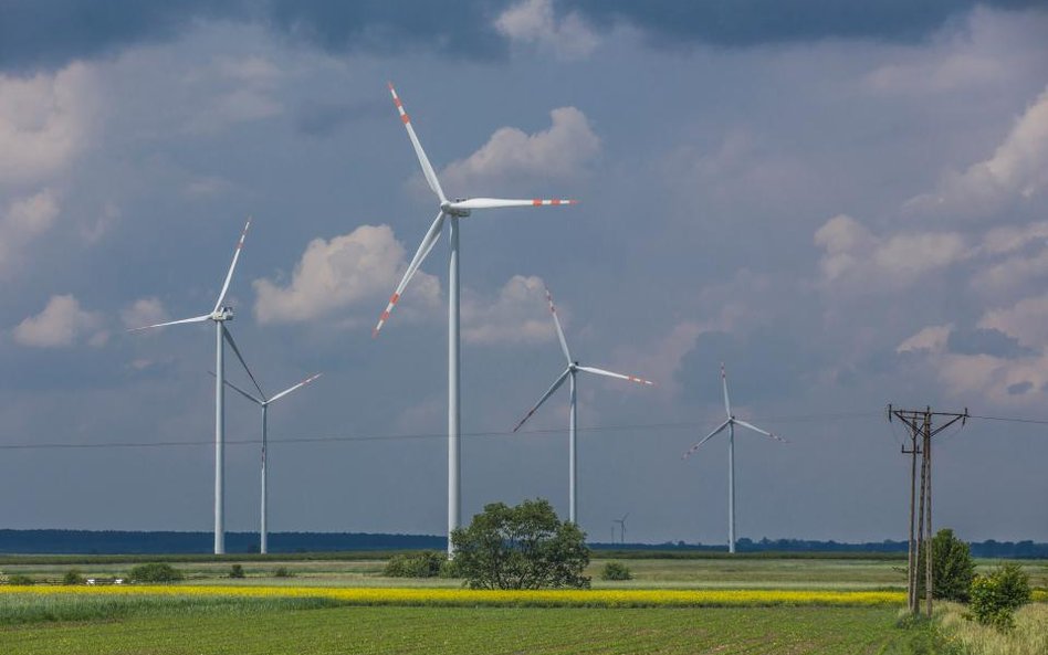 Polenergia: Zyski w dół. Przychody w górę