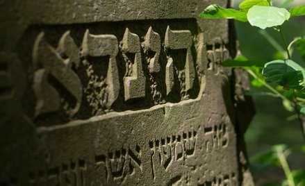 W 1939 roku w Polsce mieszkała największa społeczność żydowska w Europie. Obecnie Żydów jest u nas 8