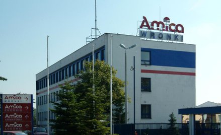 Amica rośnie na Wyspach