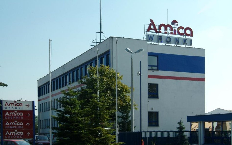 Amica kupiła Sideme