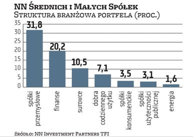 Proporcje gałęzi gospodarki w NN Średnich i Małych Spółek w ciągu drugiej połowy poprzedniego roku n