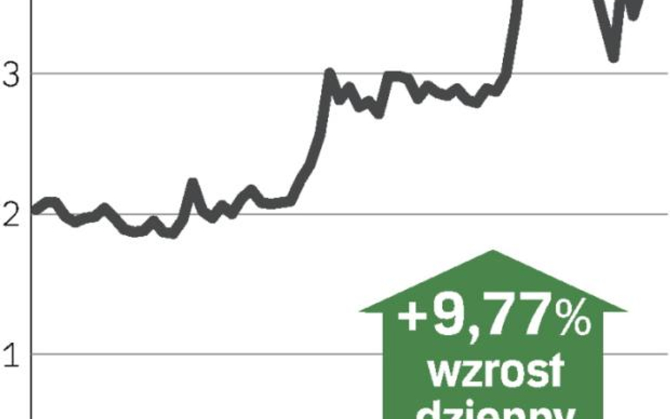 Rozmowy o udziałach w Portugalii