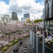 Nowe sankcje Japonii uderzą w lotnictwo i kosmiczne plany Rosji