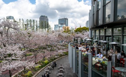 Nowe sankcje Japonii uderzą w lotnictwo i kosmiczne plany Rosji