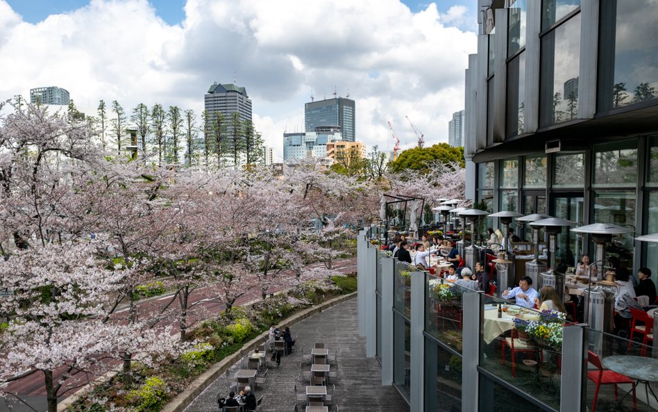 Nowe sankcje Japonii uderzą w lotnictwo i kosmiczne plany Rosji