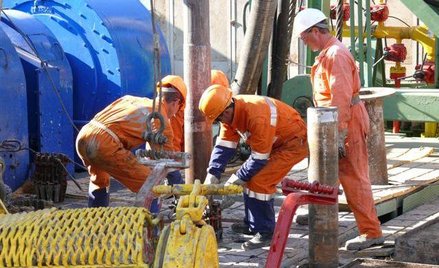 Masashi sprzedało akcje Petrolinvestu