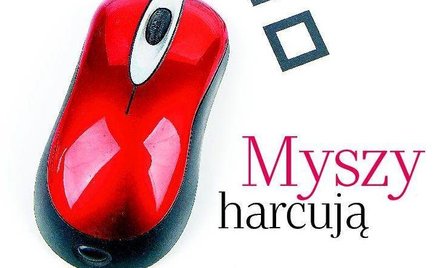 "Plus Minus" poleca - Myszy harcują