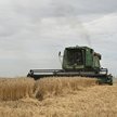Zboże Ukrainy nie płynie w świat. Ceny żywności rosną