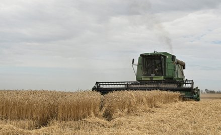 Zboże Ukrainy nie płynie w świat. Ceny żywności rosną