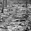 Wiosną 1940 r. Sowieci rozstrzelali co najmniej 21 768 obywateli polskich. Ofiary grzebali w Katyniu