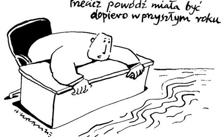 Komentarz rysunkowy. Powódź