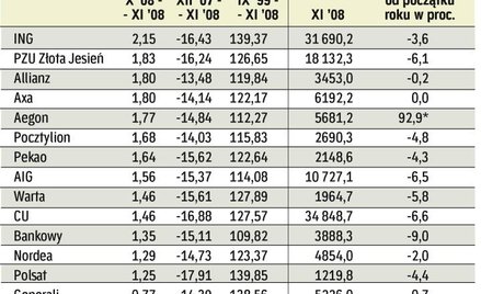 Wyniki inwestycje funduszy emerytalnych